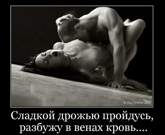 Смех и секс продлевают жизнь, порно демотиваторы смотреть онлайн бесплатно